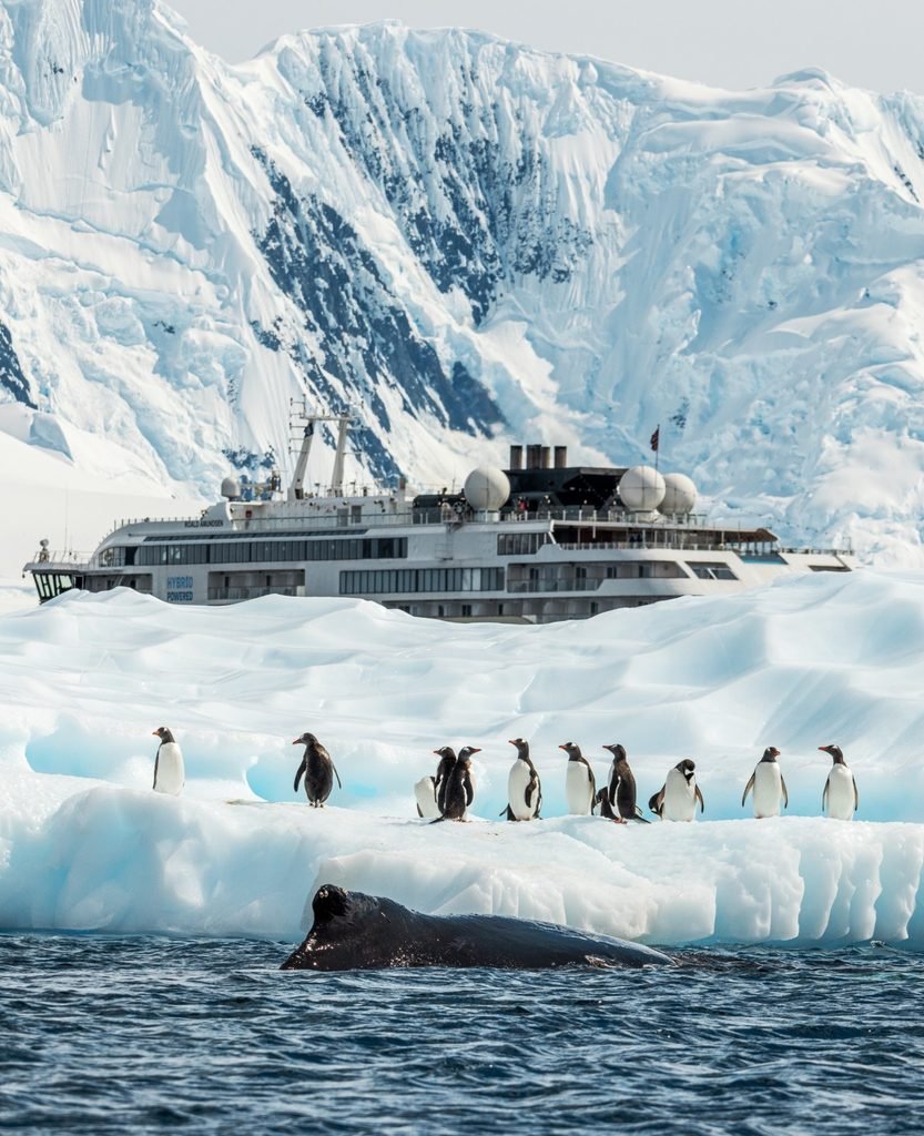 Norway : From the Poles to the Galápagos, how HX Expeditions balances high-end adventure with scientific urgency. - 2