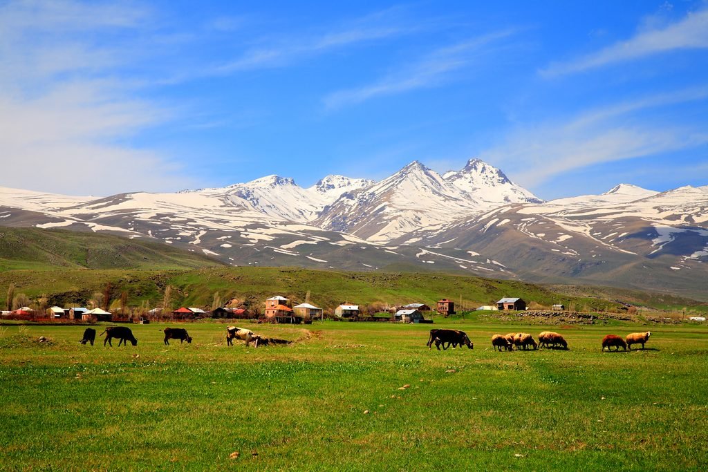 Armenia: Discovering Armenian traditional and cultural wonders with the Phoenix Tour family agency. - 1