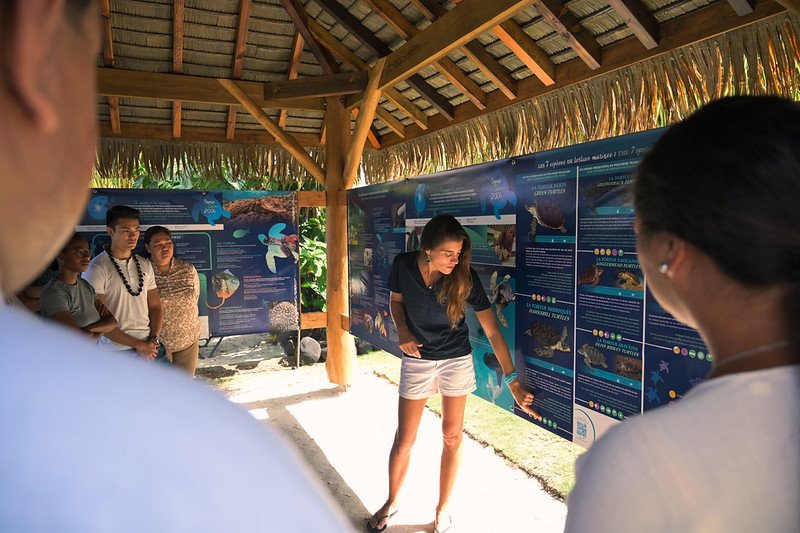 Tahiti: The Aranoa, embark on a journey to one of the Pacific’s best-kept secrets - 33