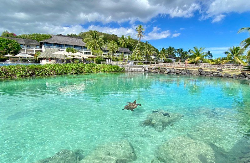 Tahiti: The Aranoa, embark on a journey to one of the Pacific’s best-kept secrets - 34