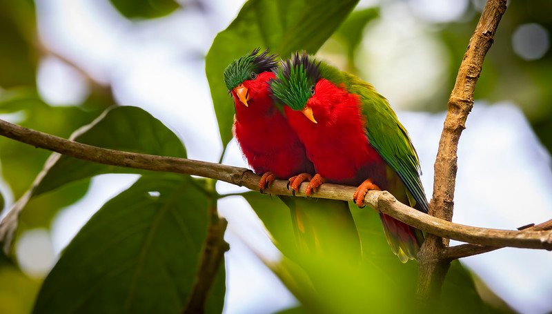 Tahiti: The Aranoa, embark on a journey to one of the Pacific’s best-kept secrets - 36