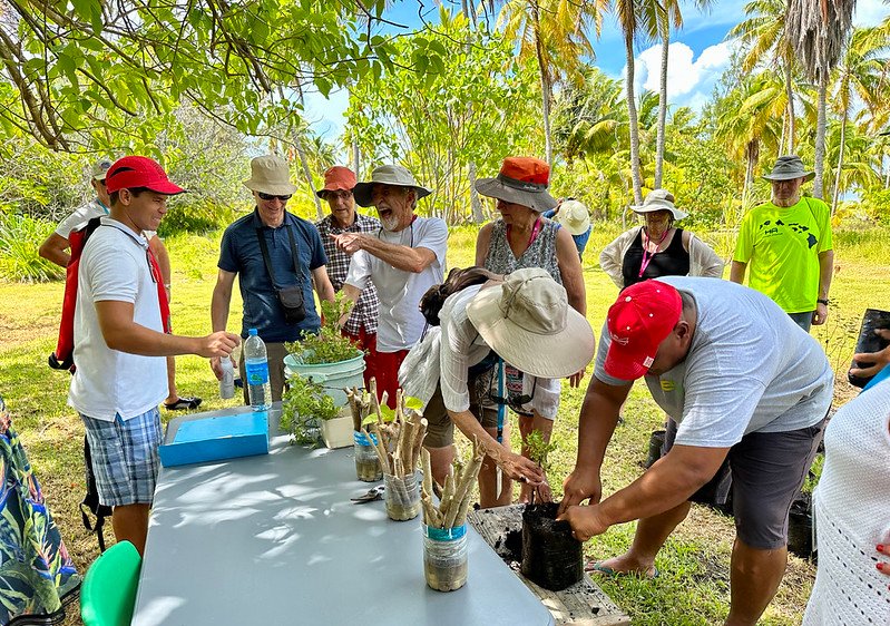 Tahiti: The Aranoa, embark on a journey to one of the Pacific’s best-kept secrets - 41