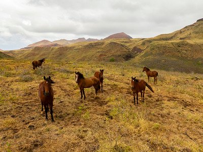 Tahiti: The Aranoa, embark on a journey to one of the Pacific’s best-kept secrets - 73